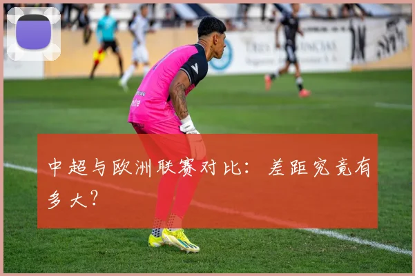 中超与欧洲联赛对比：差距究竟有多大？