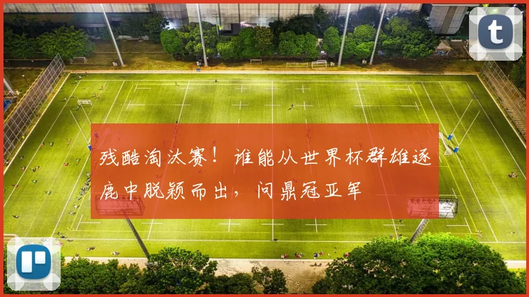 残酷淘汰赛！谁能从世界杯群雄逐鹿中脱颖而出，问鼎冠亚军